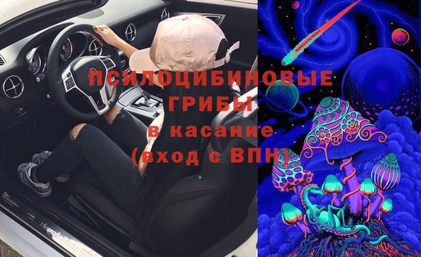 спиды Аркадак