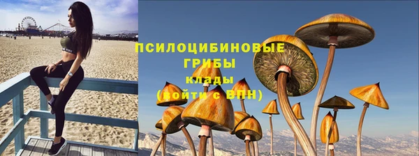 спиды Аркадак