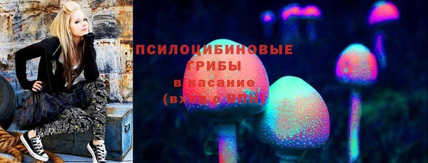 спиды Аркадак