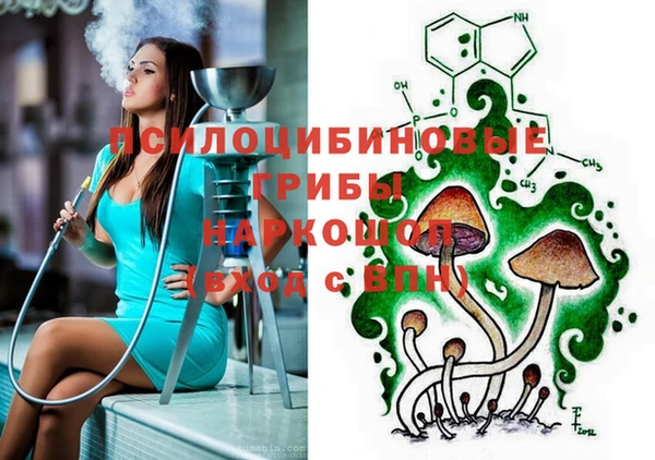 спиды Аркадак